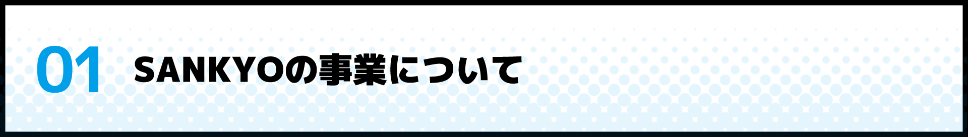 01 SANKYOの事業について